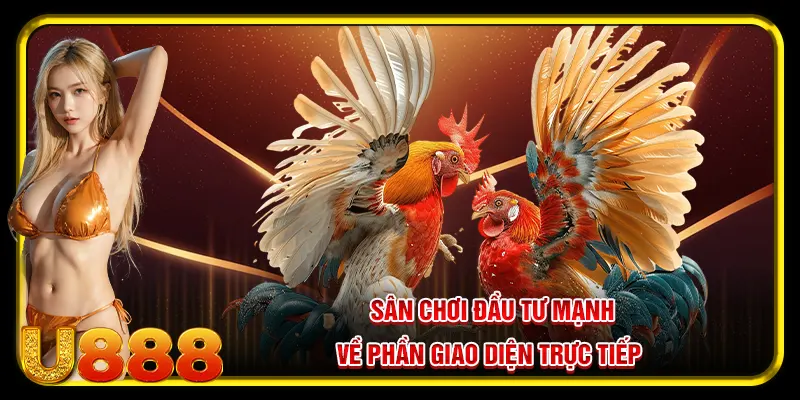 Đá Gà U888 - Tụ Điểm Cá Cược Hàng Đầu Châu Á Dành Cho Sư Kê 2025 3 Sân chơi đá gà U888 đầu tư mạnh về phần giao diện trực tiếp